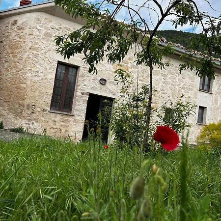 Animae Petra Lettopalena