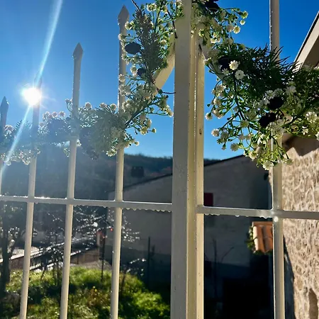 Animae Petra Holiday home