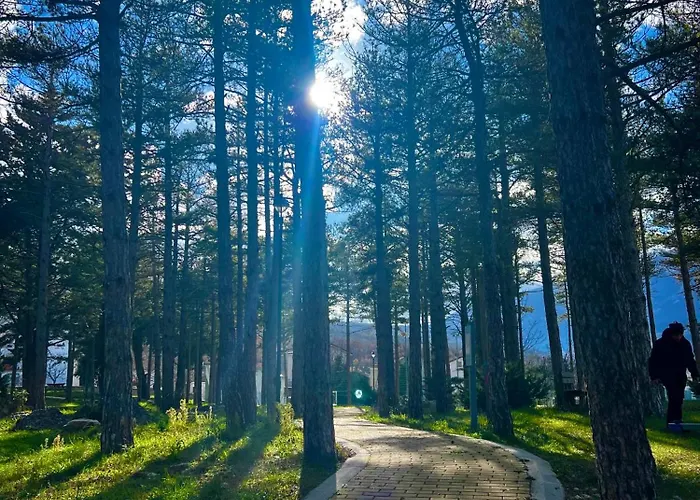 Animae Petra Ferienhaus *